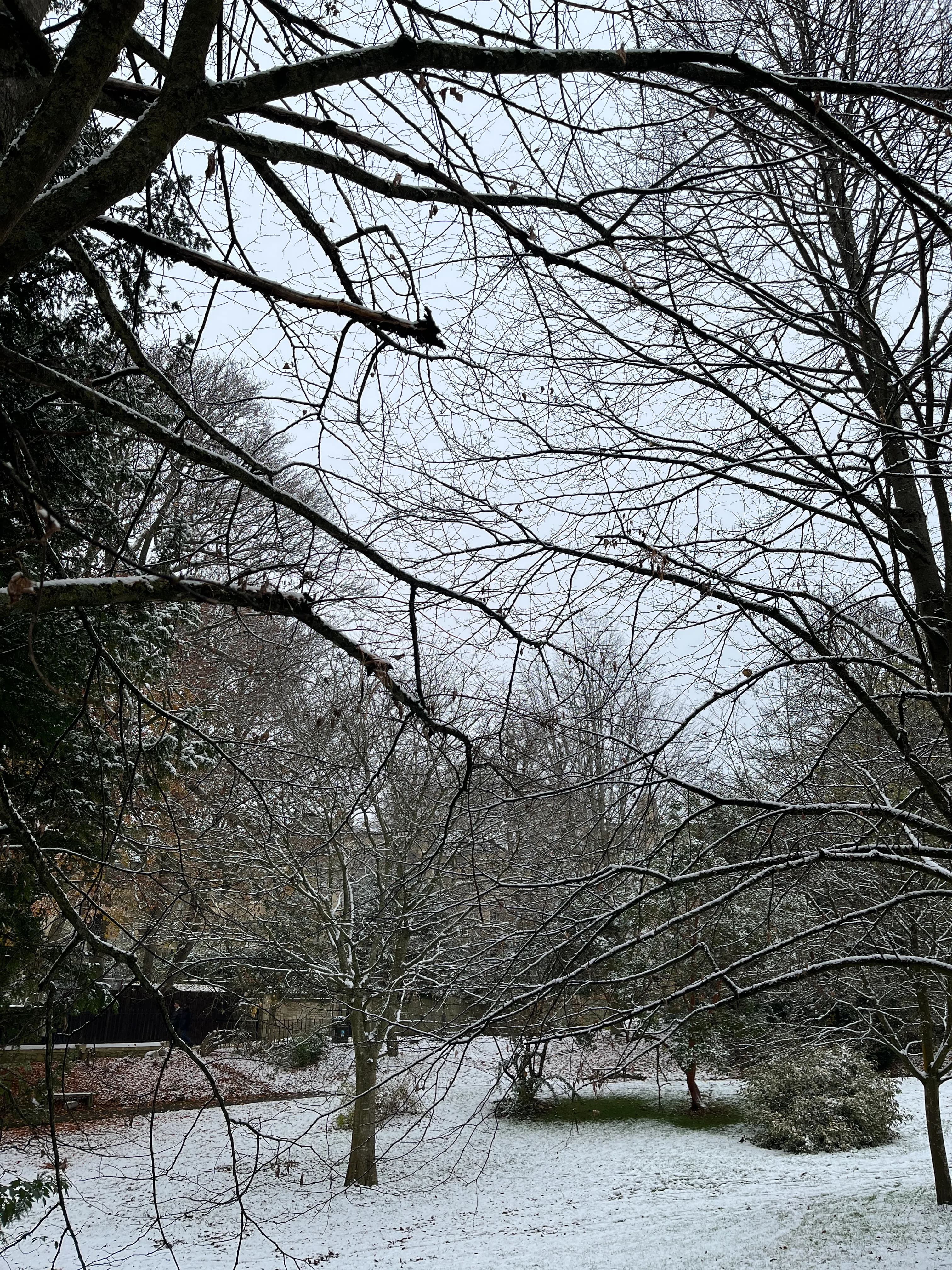 Fashion Men and Women